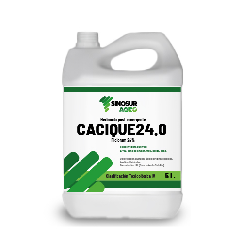CACIQUE 24.0