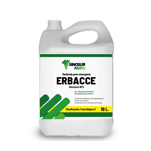 ERBACCE
