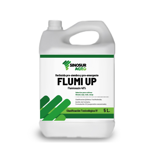 FLUMI UP